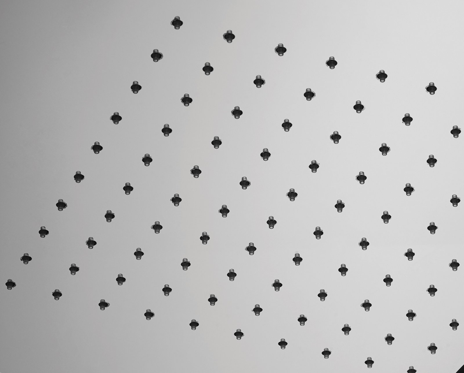 64serie-foto-detailCanopy