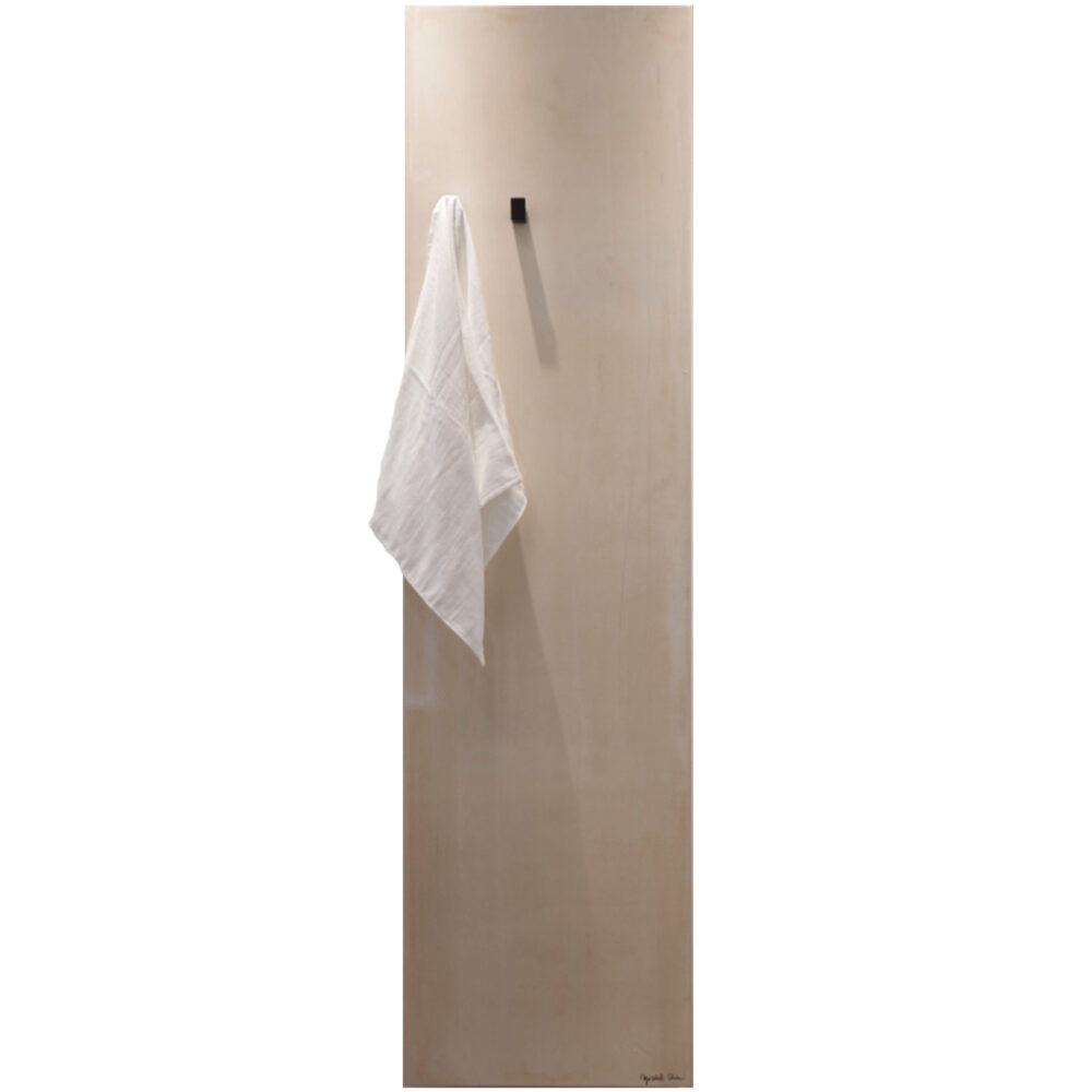 Roc wall mounted towel radiator shown with 2 frosted black towel hooks